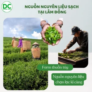 Nguyên liệu Trà Oolong